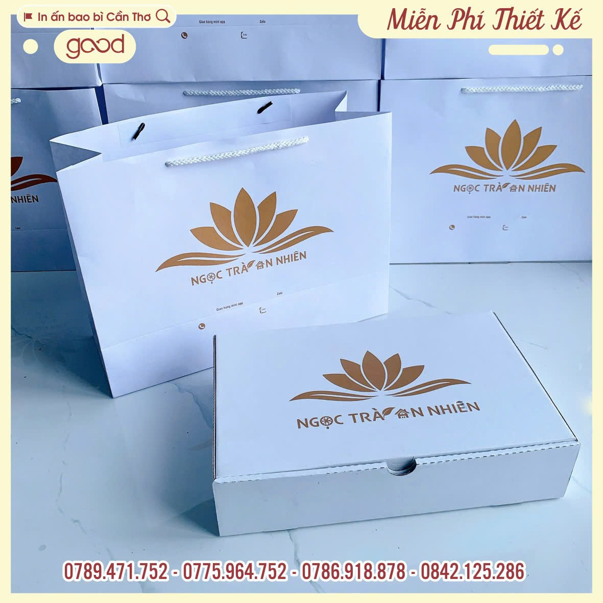 IN TÚI HỘP NHŨ VÀNG
